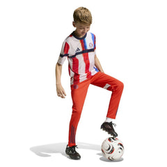 Bayern Munich Youth 2025/26 Pre-Match Training Jersey