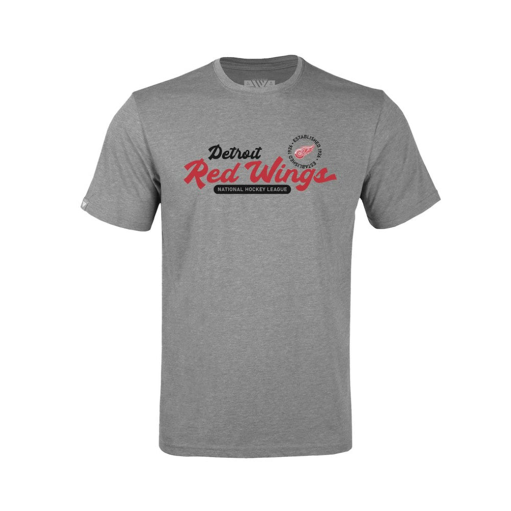 Detroit Red Wings Levelwear Youth Little Richmond Monument T-Shirt -  NHL T-shirts