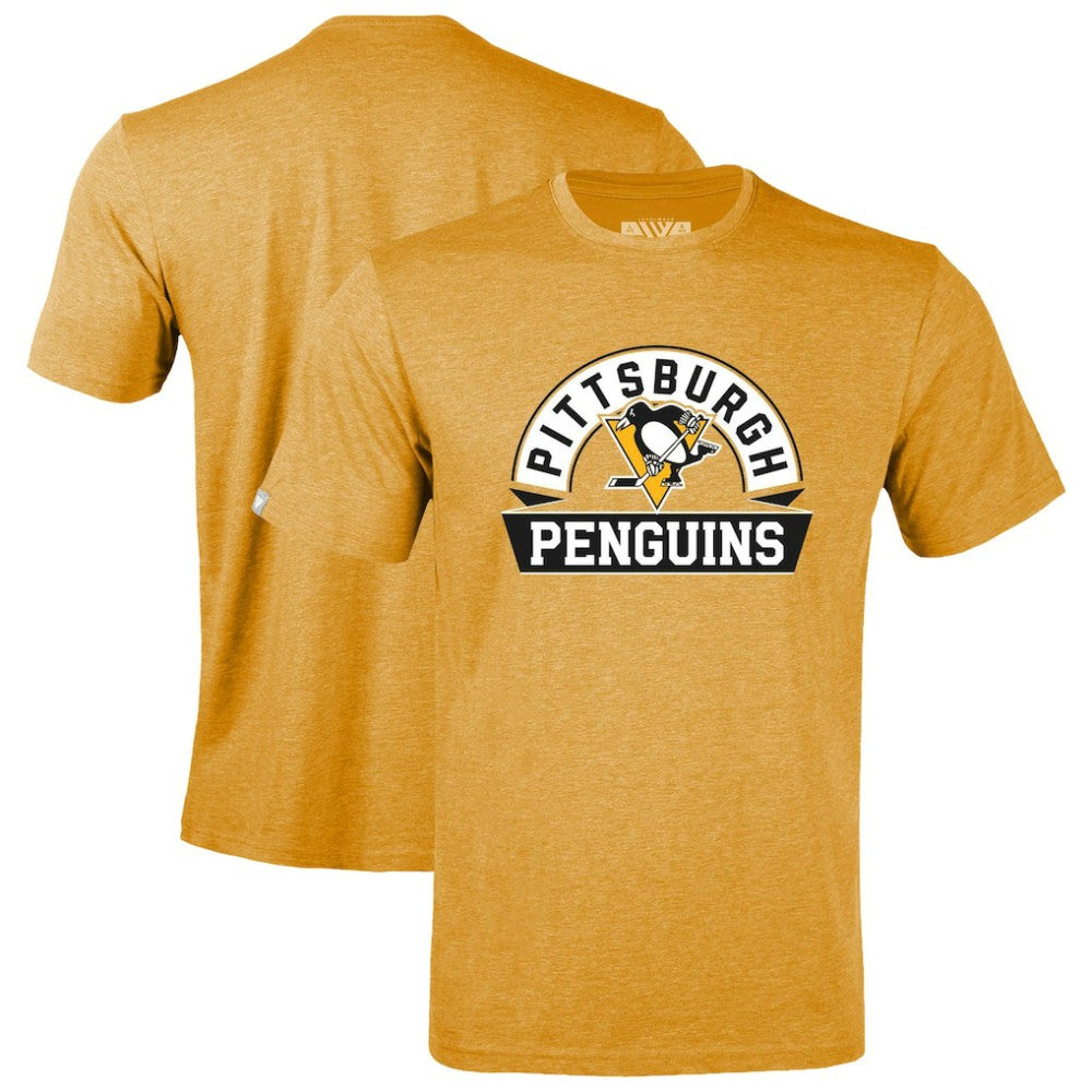 Pittsburgh Penguins Levelwear Youth Little Richmond Banner Arch T-Shirt -  NHL T-shirts