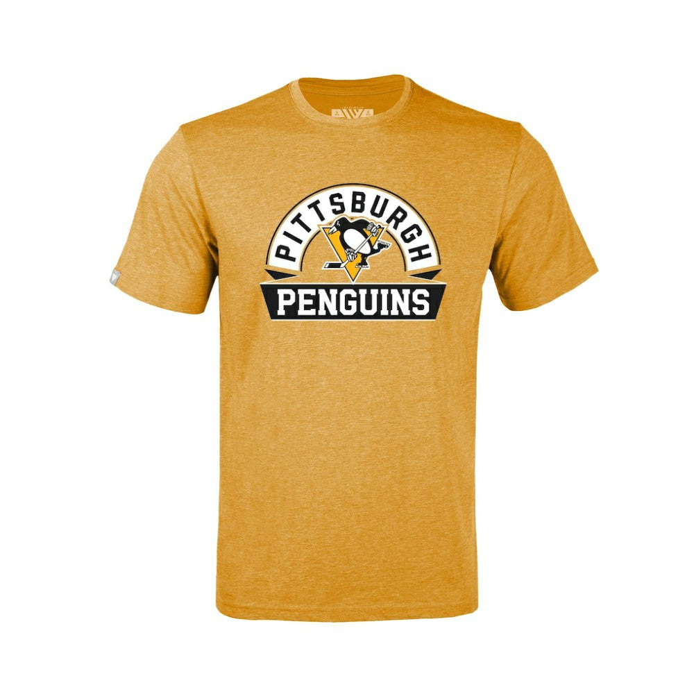 Pittsburgh Penguins Levelwear Youth Little Richmond Banner Arch T-Shirt -  NHL T-shirts
