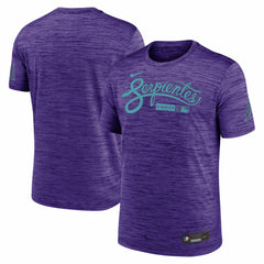 Arizona Diamondbacks Nike Authentic Collection City Connect Velocity Dri-FIT T-Shirt - MLB T-shirts