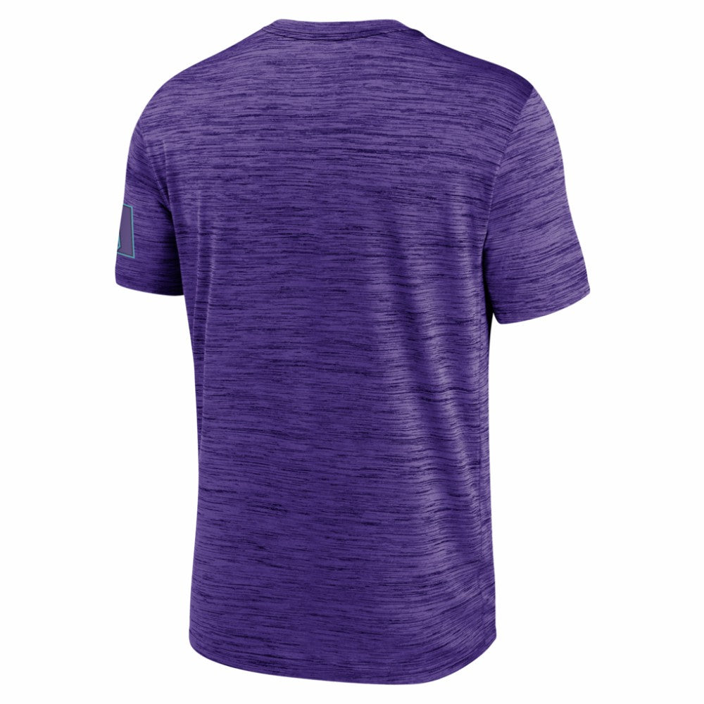 Arizona Diamondbacks Nike Authentic Collection City Connect Velocity Dri-FIT T-Shirt - MLB T-shirts