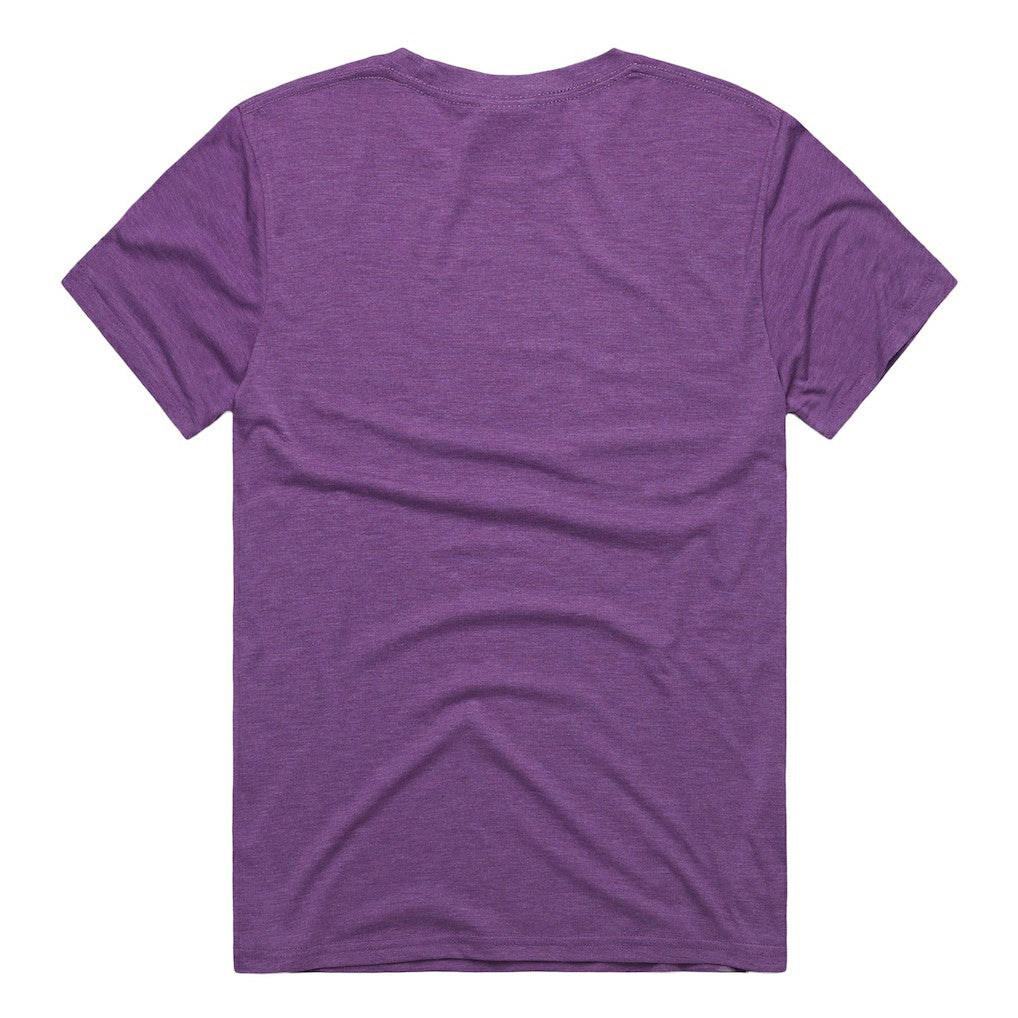 Minnesota Vikings Homage Unisex NFL ASL Collection by Love Sign Tri-Blend T-Shirt | NFL Sale