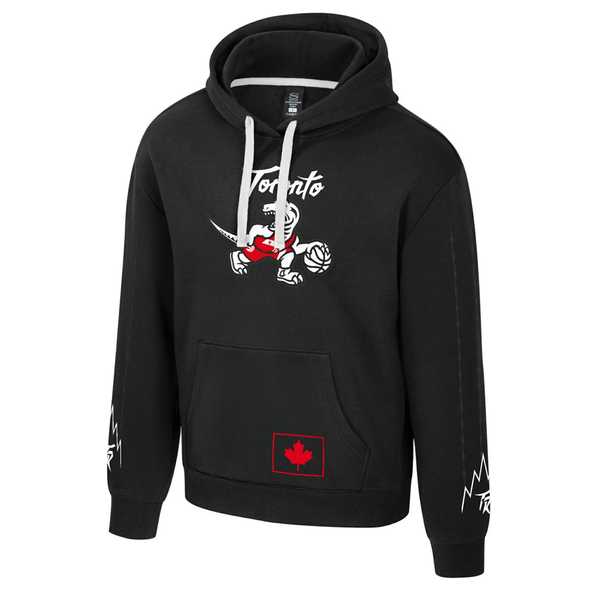 Black Toronto Raptors Stadium Essentials Unisex 2025/26 City Edition City Star Hoodie | NBA