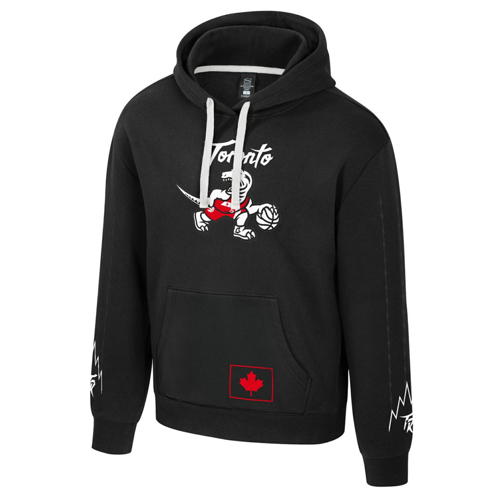 Black Toronto Raptors Stadium Essentials Unisex 2025/26 City Edition City Star Hoodie | NBA