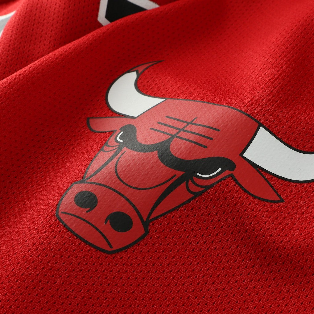 Red Dennis Rodman Chicago Bulls Big & Tall NBA Hockey Jersey | NBA