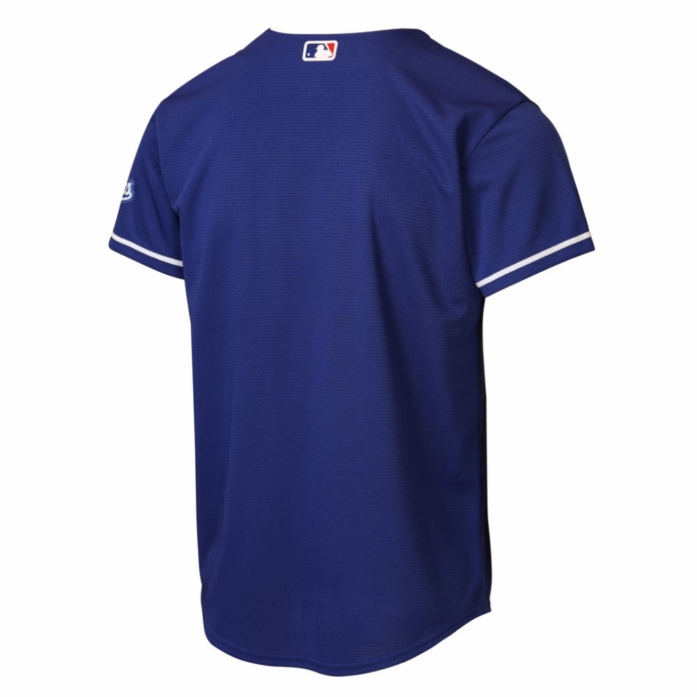 Los Angeles Dodgers Nike Youth Alternate 2 Stadium Jersey - MLB Jerseys