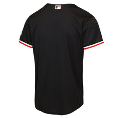 Minnesota Twins Nike Youth Alternate 2 Stadium Jersey - MLB Jerseys