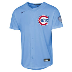 Chicago Cubs Nike Youth Alternate 2 Stadium Jersey - MLB Jerseys