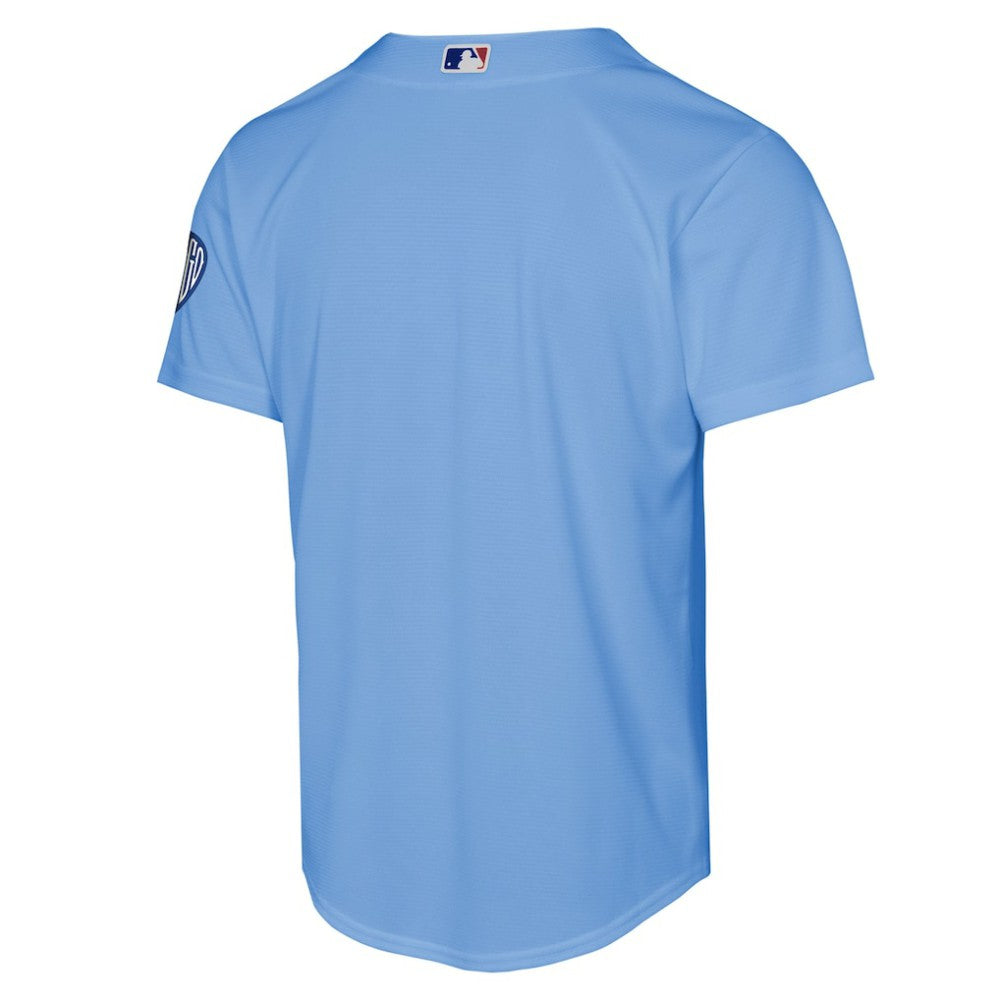 Chicago Cubs Nike Youth Alternate 2 Stadium Jersey - MLB Jerseys
