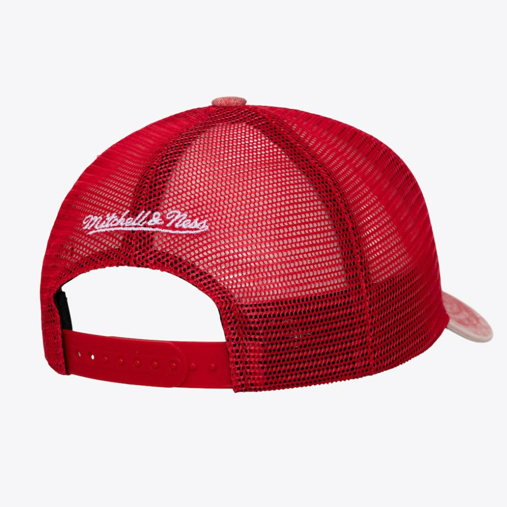 St. Louis Cardinals Mitchell & Ness Unisex Gameday Adjustable Trucker Hat - MLB Hats