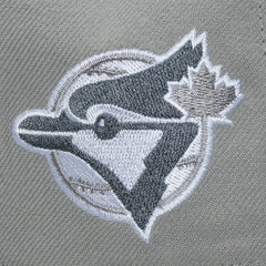 Toronto Blue Jays Mitchell & Ness Cooperstown Thunderstorm Head Coach Pro-Crown Adjustable Hat - MLB Hats