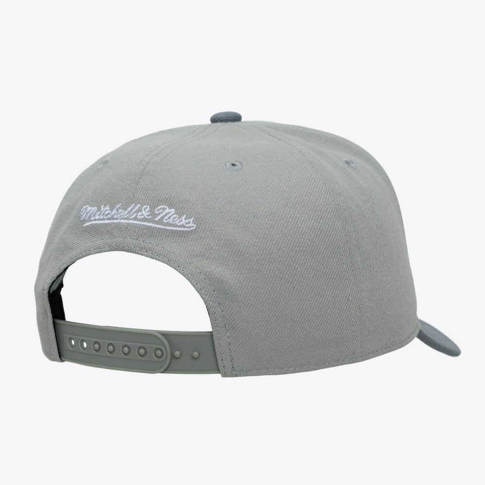 Boston Red Sox Mitchell & Ness Thunderstorm Head Coach Pro-Crown Adjustable Hat - MLB Hats