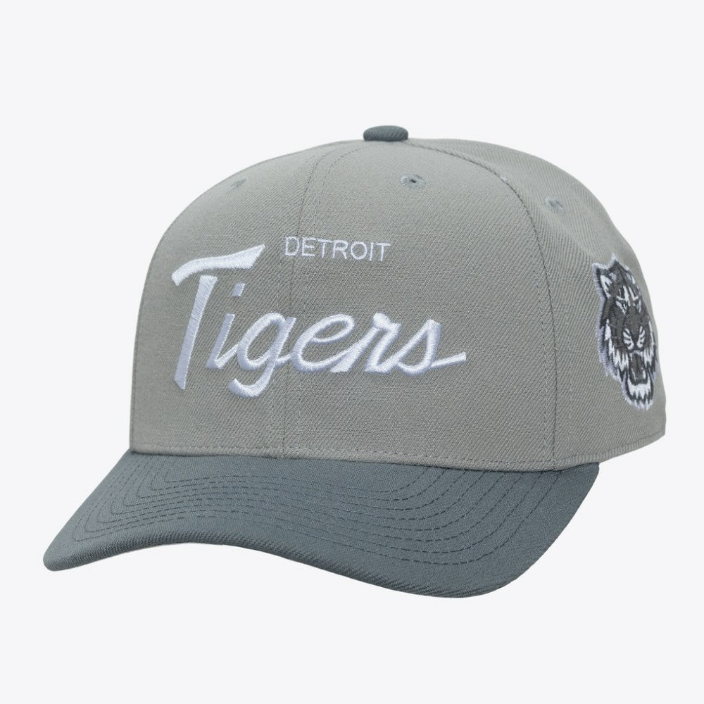 Detroit Tigers Mitchell & Ness Thunderstorm Head Coach Pro-Crown Adjustable Hat - MLB Hats