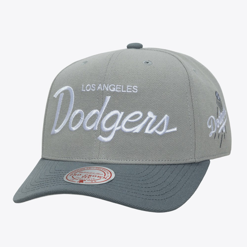 Los Angeles Dodgers Mitchell & Ness Thunderstorm Head Coach Pro-Crown Adjustable Hat - MLB Hats