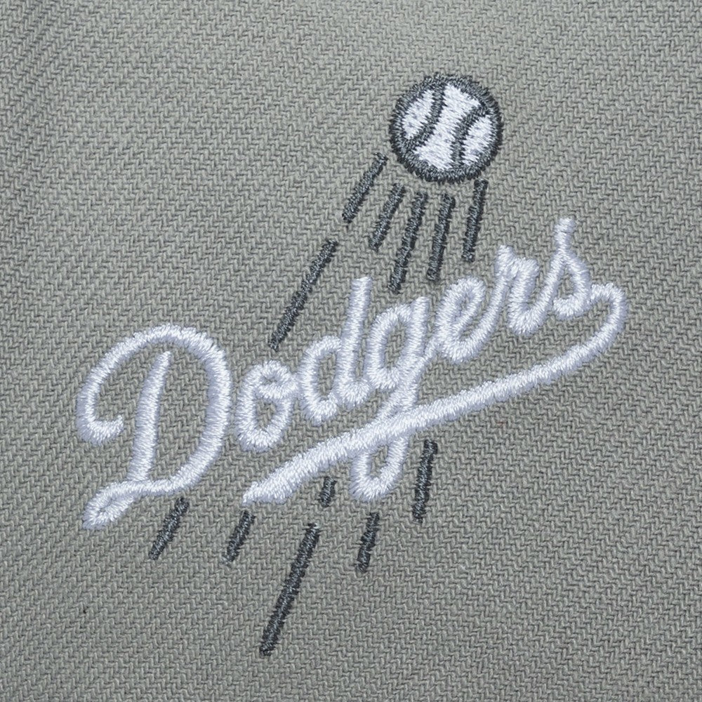 Los Angeles Dodgers Mitchell & Ness Thunderstorm Head Coach Pro-Crown Adjustable Hat - MLB Hats