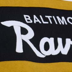 Baltimore Ravens Head Coach Hoodie | NFL Sale