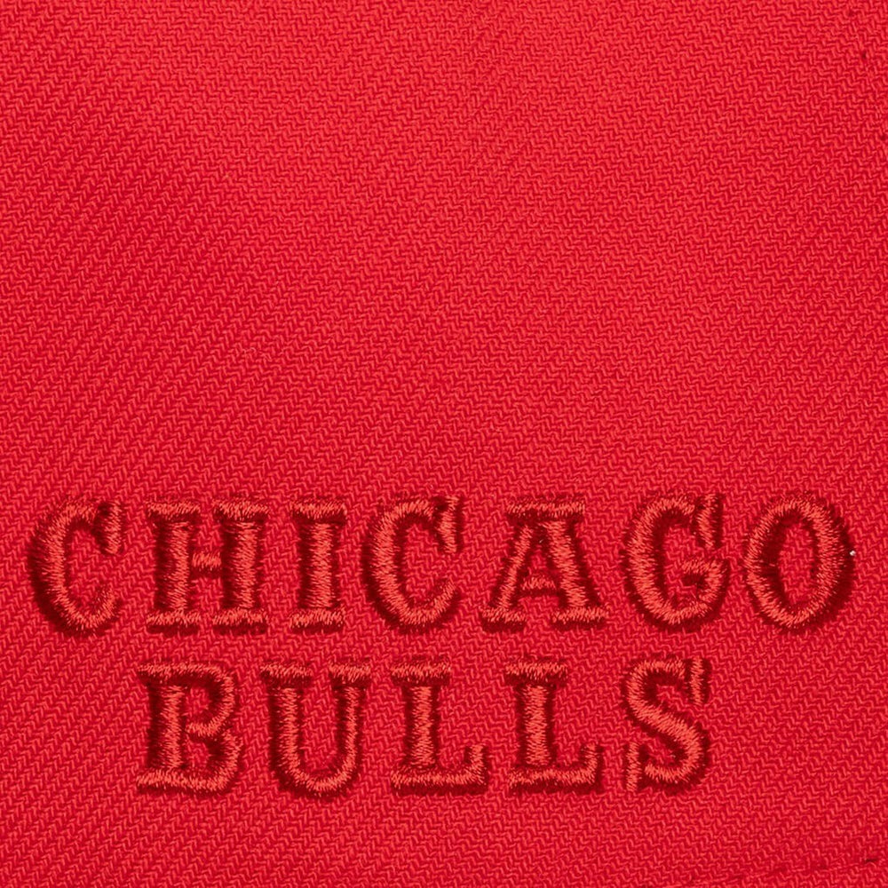 Red Chicago Bulls Legendary Home Pro Pinch Snapback Hat | NBA