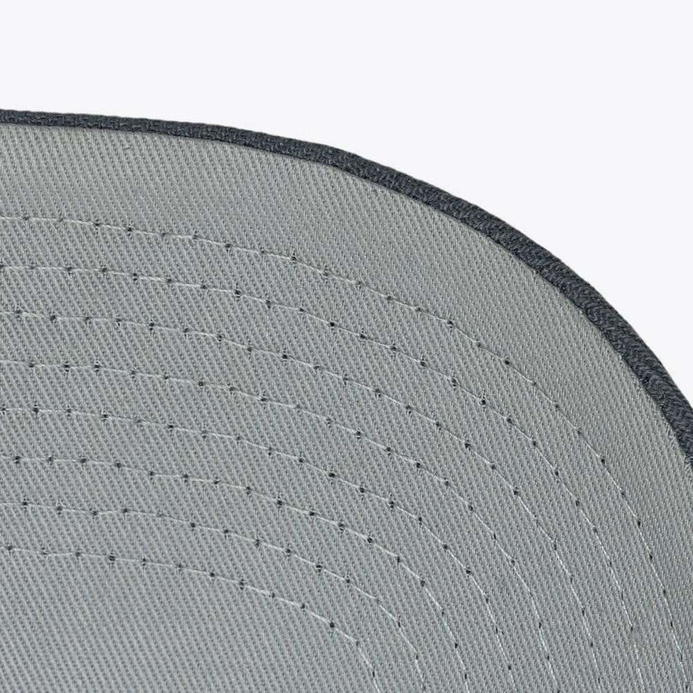 Gray Boston Celtics Thunderstorm Head Coach Pro Crown Snapback Hat | NBA