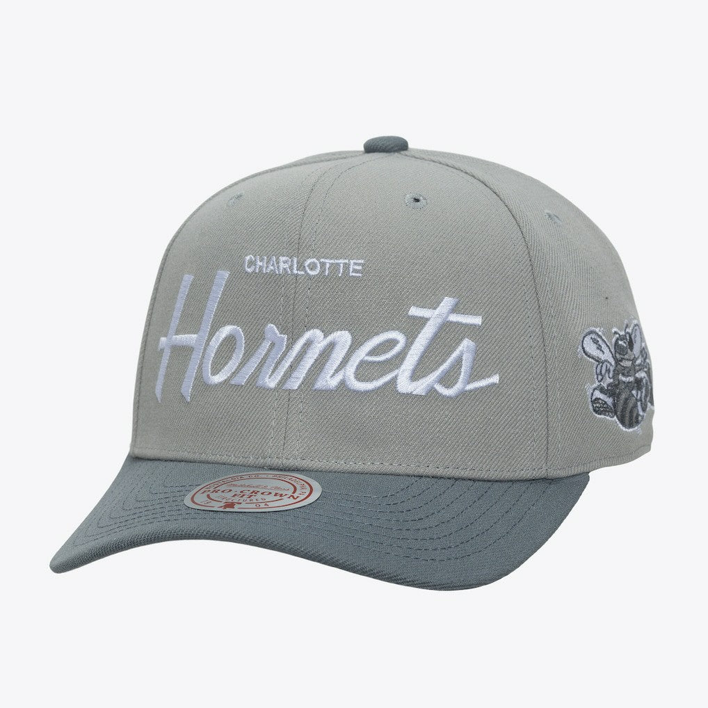 Gray Charlotte Hornets Thunderstorm Head Coach Pro Crown Snapback Hat | NBA