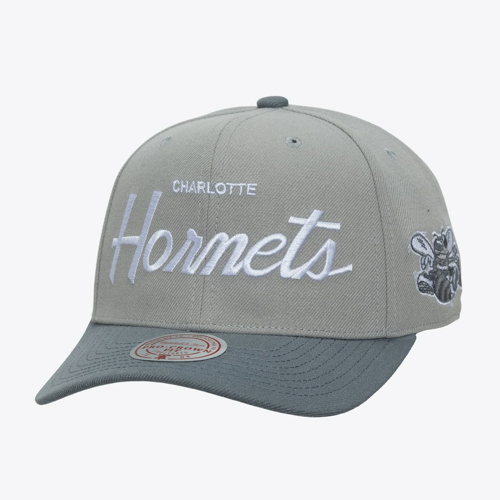 Gray Charlotte Hornets Thunderstorm Head Coach Pro Crown Snapback Hat | NBA
