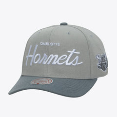Gray Charlotte Hornets Thunderstorm Head Coach Pro Crown Snapback Hat | NBA