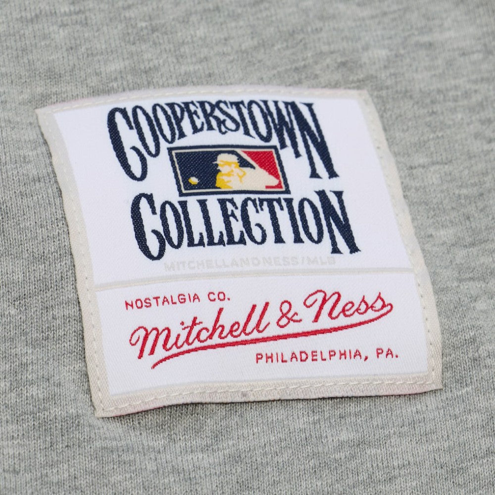 Ken Griffey Jr. Seattle Mariners Mitchell & Ness Player Collection Premium T-Shirt - MLB T-shirts