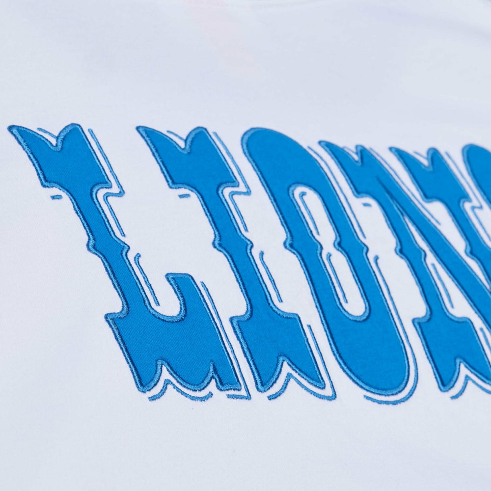 Detroit Lions Arctic T-Shirt | NFL Online