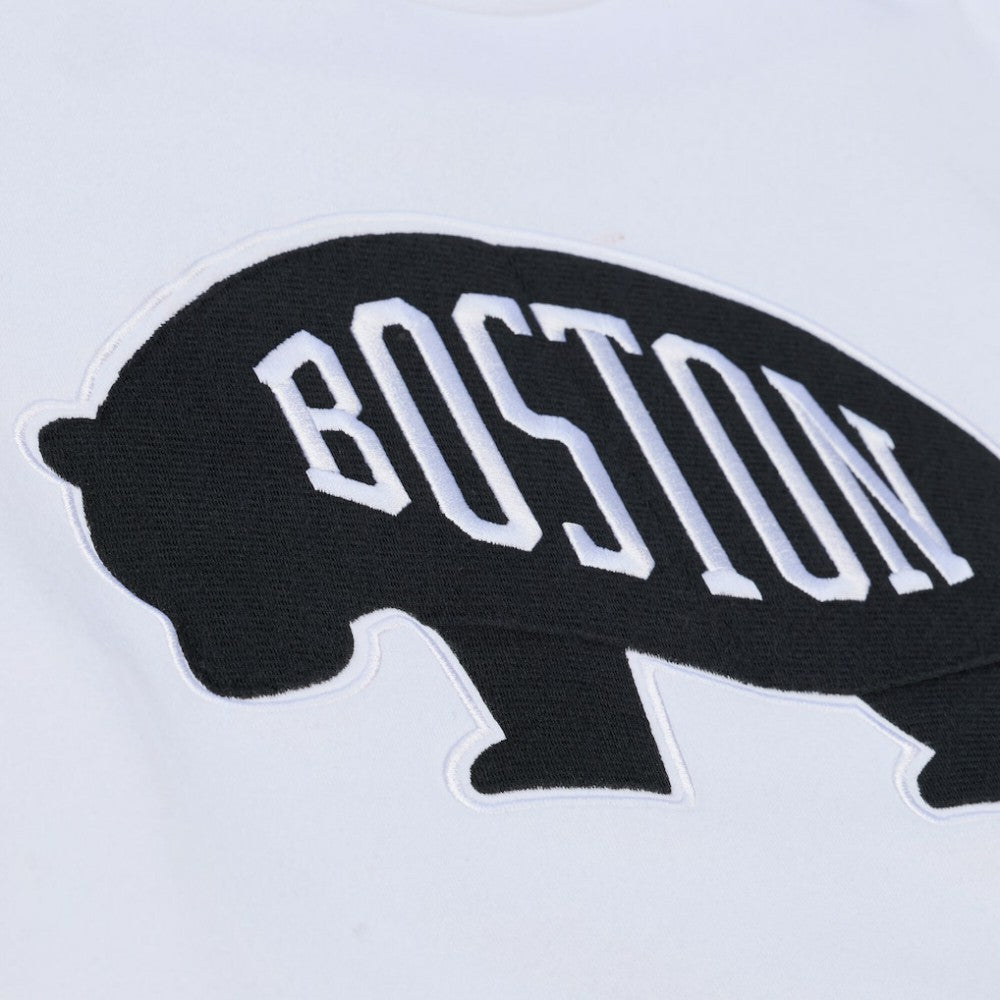 Boston Bruins Mitchell & Ness Arctic Fleece Hoodie -  NHL Hoodies