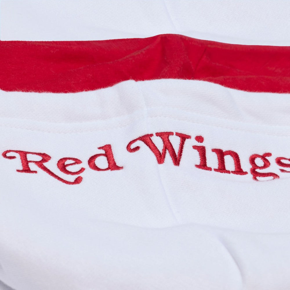 Detroit Red Wings Mitchell & Ness Arctic Fleece Hoodie -  NHL Hoodies