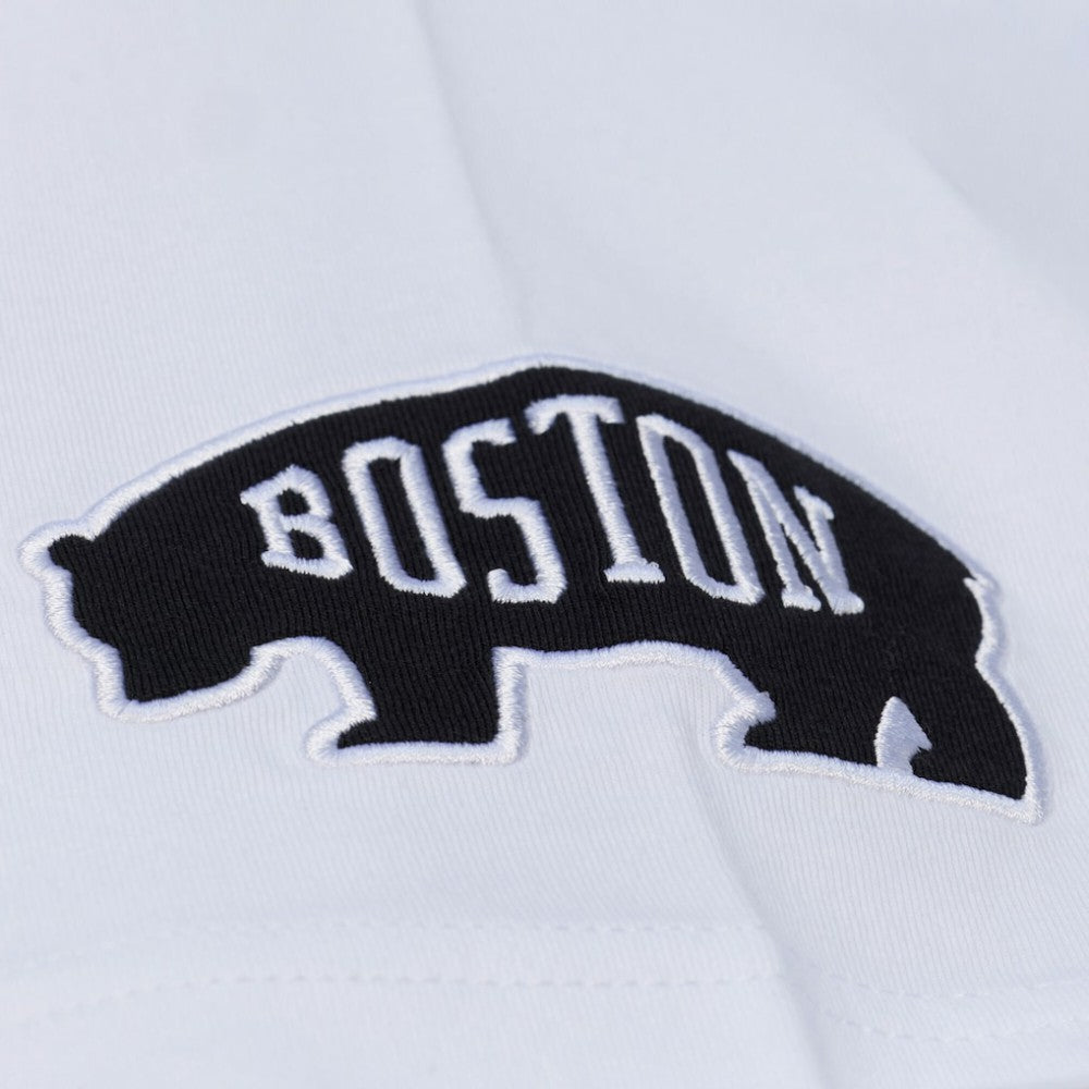 Boston Bruins Mitchell & Ness Arctic T-Shirt- White -  NHL T-shirts