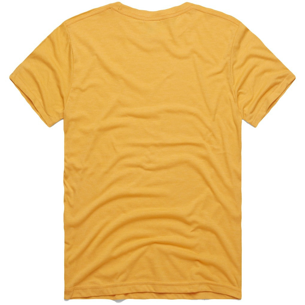 Pittsburgh Steelers Homage NFL x Grateful Dead Tri-Blend T-Shirt | NFL Online
