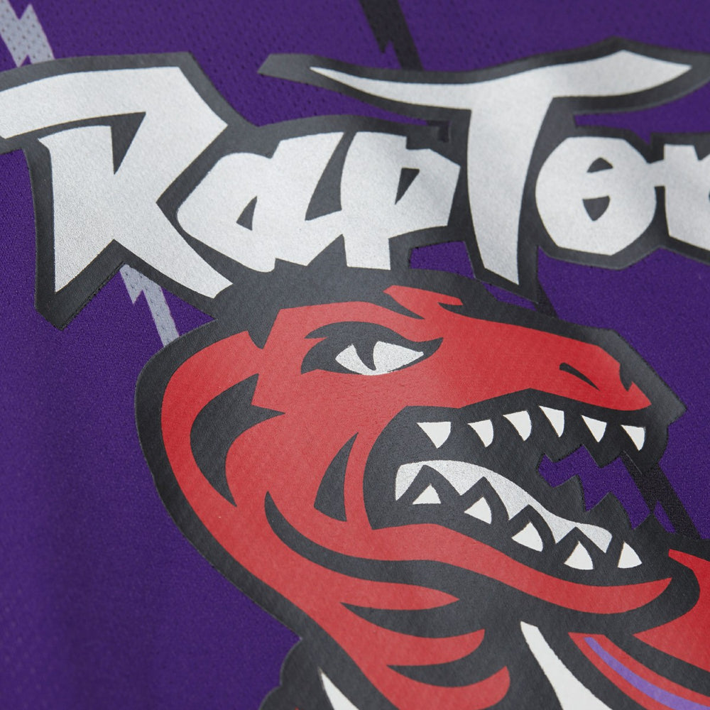 Purple Vince Carter Toronto Raptors Unisex Maxxed Out Fashion Hockey Jersey | NBA