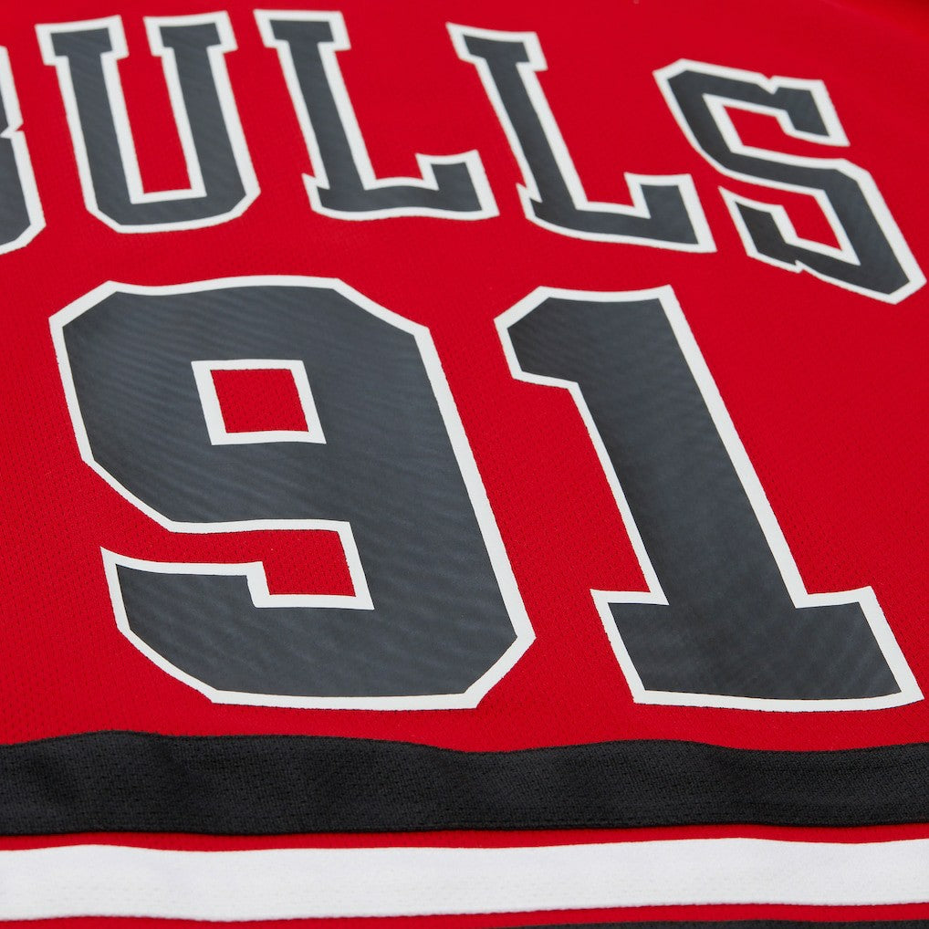 Red Dennis Rodman Chicago Bulls Unisex Maxxed Out Fashion Hockey Jersey sale | NBA