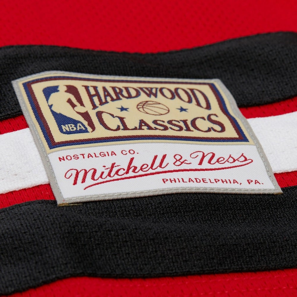 Red Dennis Rodman Chicago Bulls Unisex Maxxed Out Fashion Hockey Jersey sale | NBA
