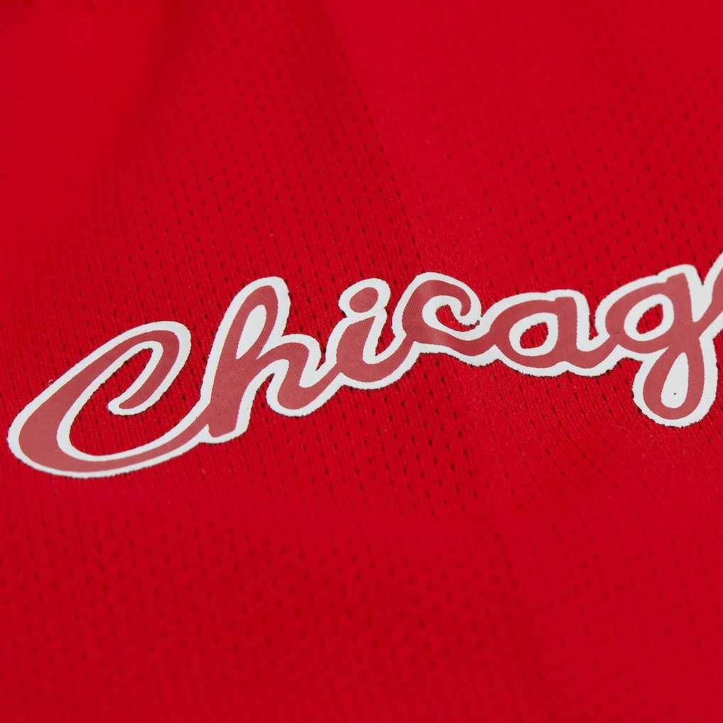 Red Dennis Rodman Chicago Bulls Unisex Maxxed Out Fashion Hockey Jersey sale | NBA