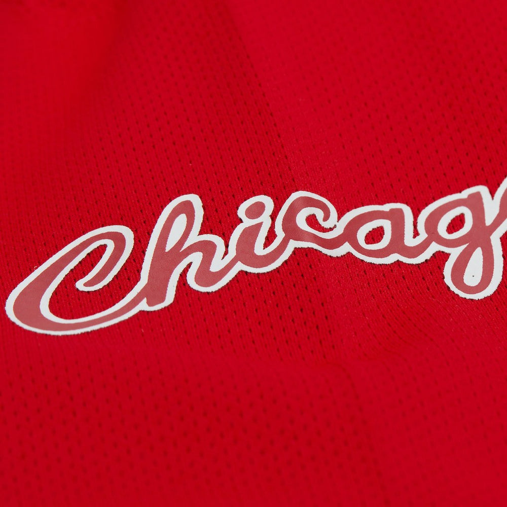 Red Dennis Rodman Chicago Bulls Unisex Maxxed Out Fashion Hockey Jersey sale | NBA