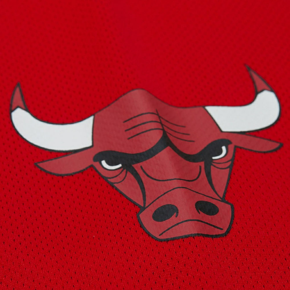 Red Dennis Rodman Chicago Bulls Unisex Maxxed Out Fashion Hockey Jersey sale | NBA