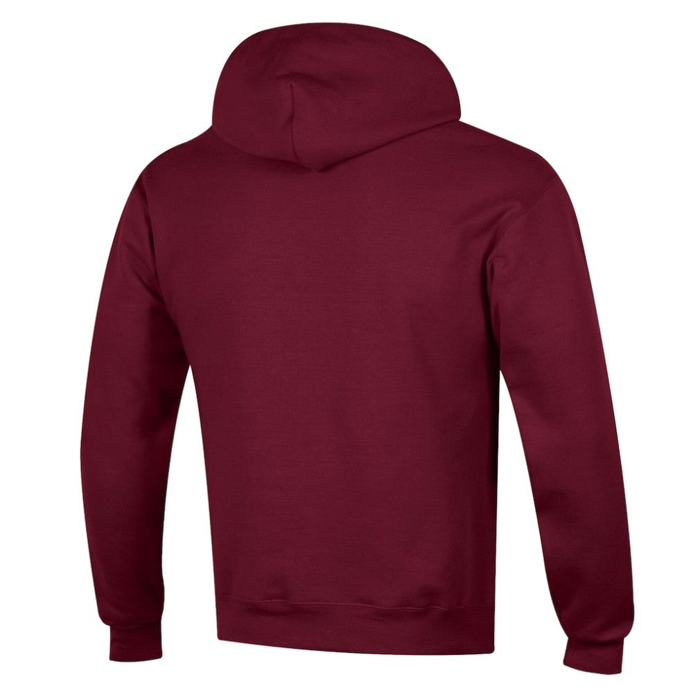Colorado Avalanche Champion Powerblend Hoodie -  NHL Hoodies