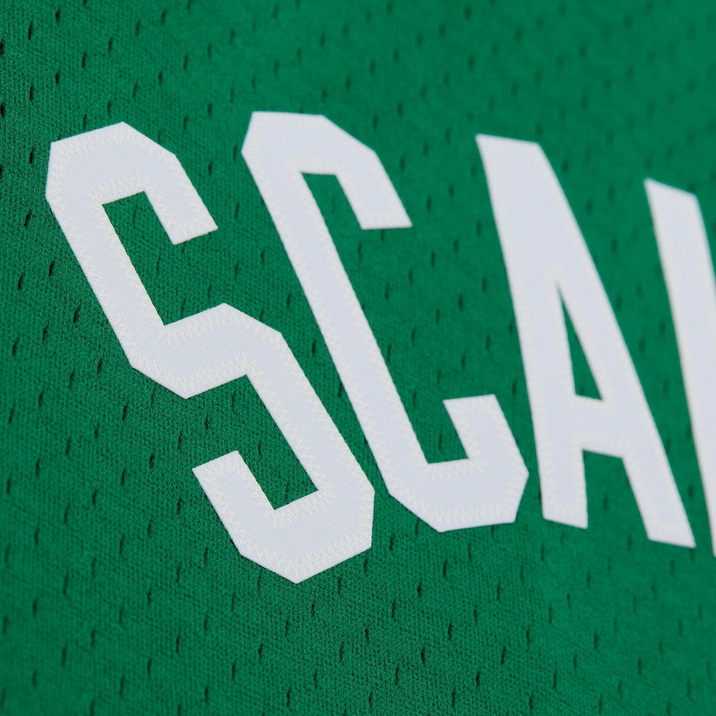 Kelly Green Brian Scalabrine Boston Celtics 2007/08 Hardwood Classics Swingman Jersey | NBA