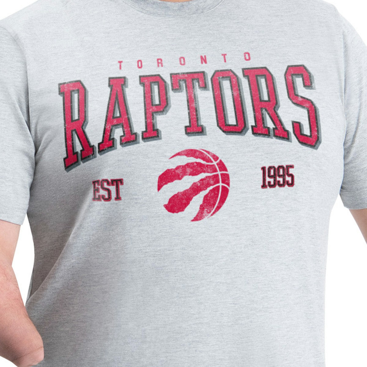 Gray Toronto Raptors G-III Sports by Carl Banks Adaptive Classic Team Spirit Short Sleeve T-Shirt | NBA