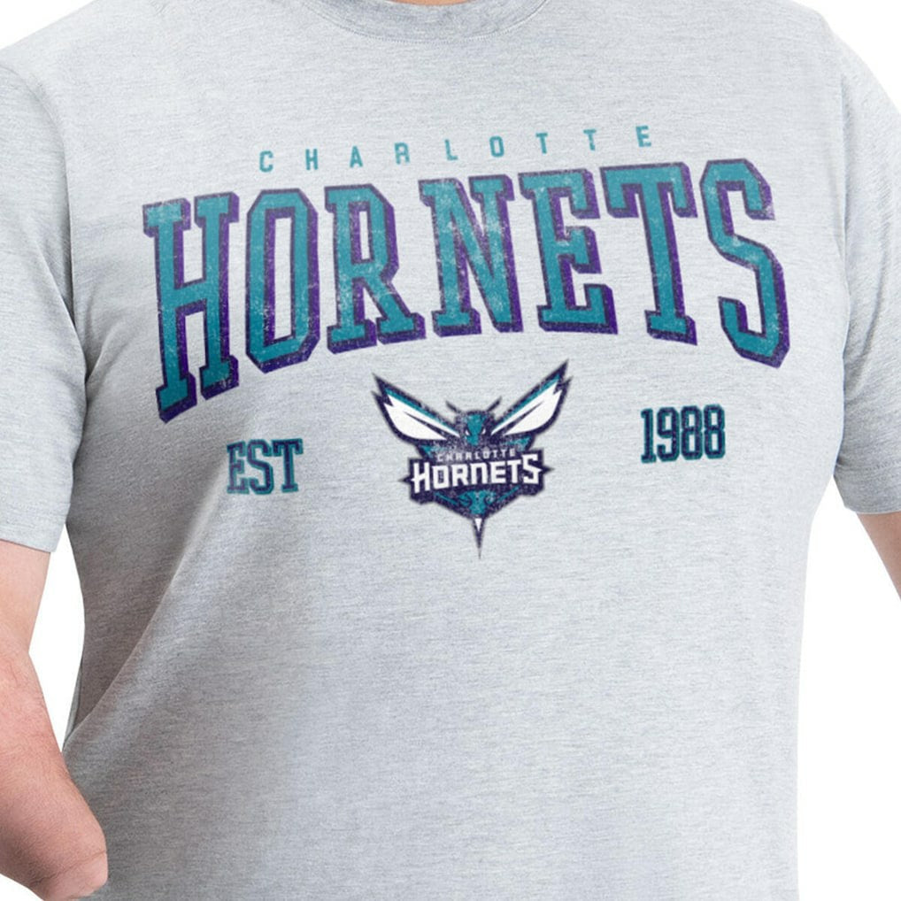 Gray Charlotte Hornets G-III Sports by Carl Banks Adaptive Classic Team Spirit Short Sleeve T-Shirt | NBA