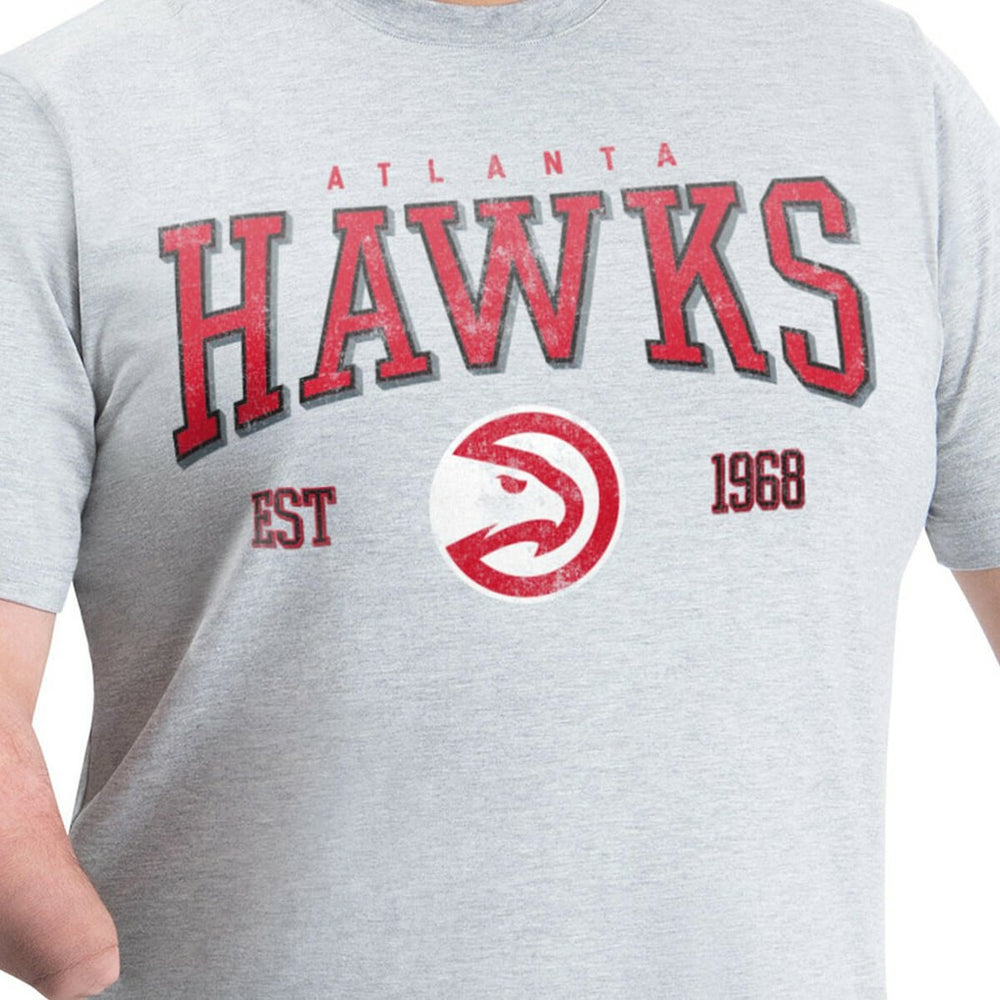 Gray Atlanta Hawks G-III Sports by Carl Banks Adaptive Classic Team Spirit Short Sleeve T-Shirt | NBA