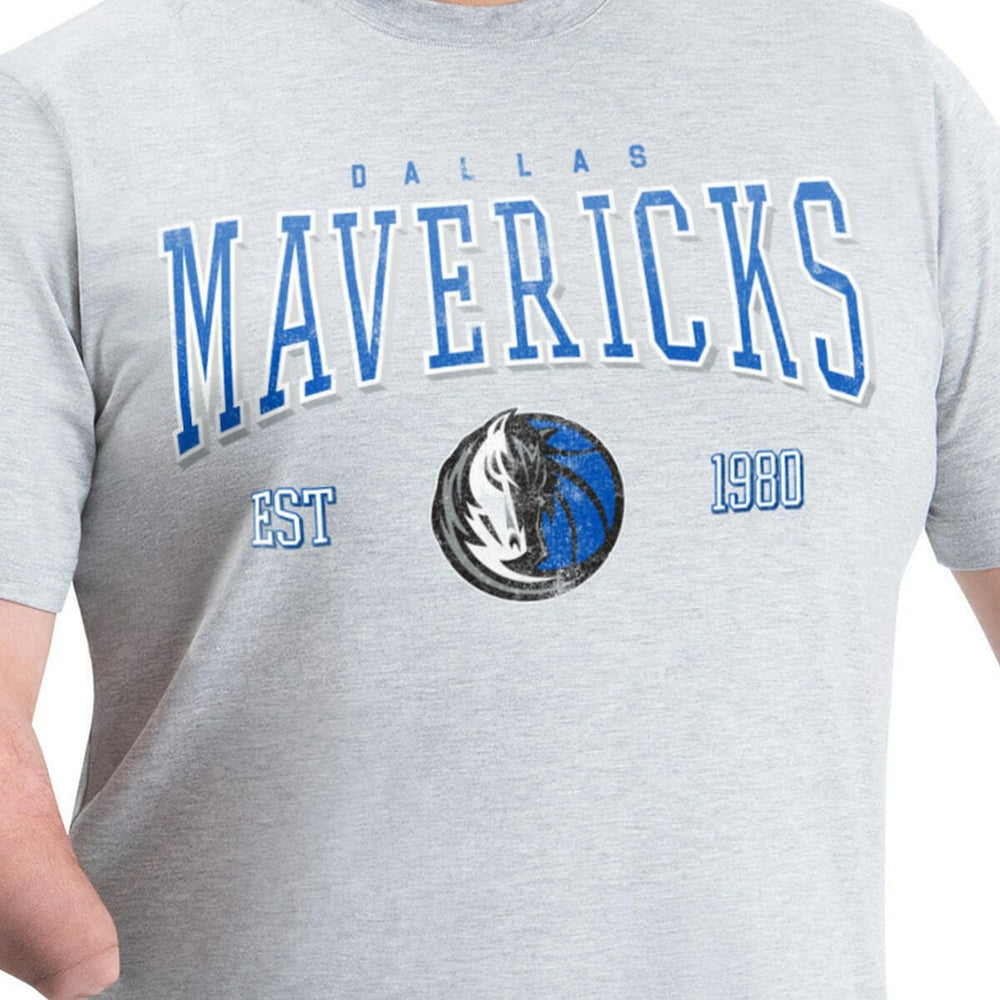 Gray Dallas Mavericks G-III Sports by Carl Banks Adaptive Classic Team Spirit Short Sleeve T-Shirt sale | NBA