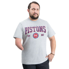 Gray Detroit Pistons G-III Sports by Carl Banks Adaptive Classic Team Spirit Short Sleeve T-Shirt sale | NBA