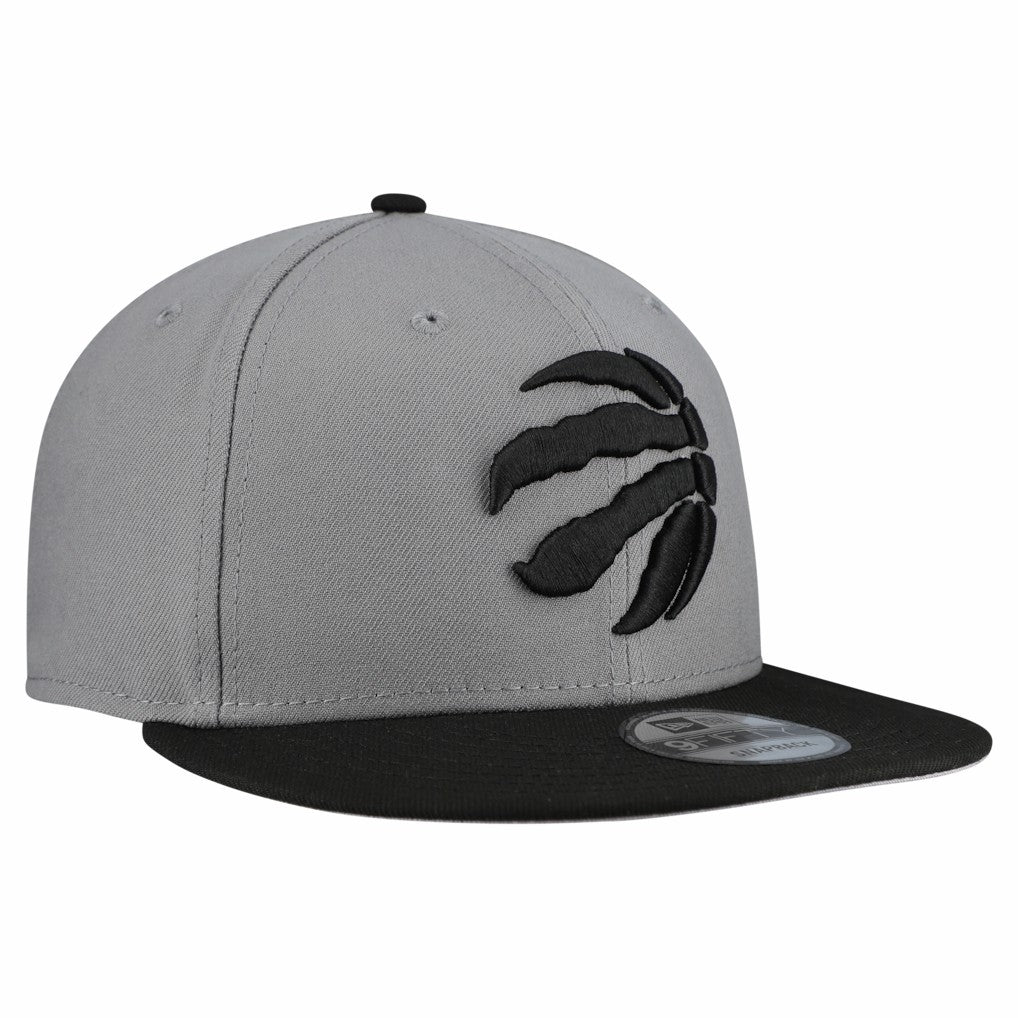 Gray Toronto Raptors Core Logo Storm Gray Two-Tone 9FIFTY Snapback Hat | NBA