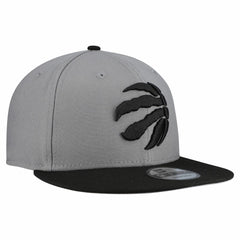 Gray Toronto Raptors Core Logo Storm Gray Two-Tone 9FIFTY Snapback Hat | NBA