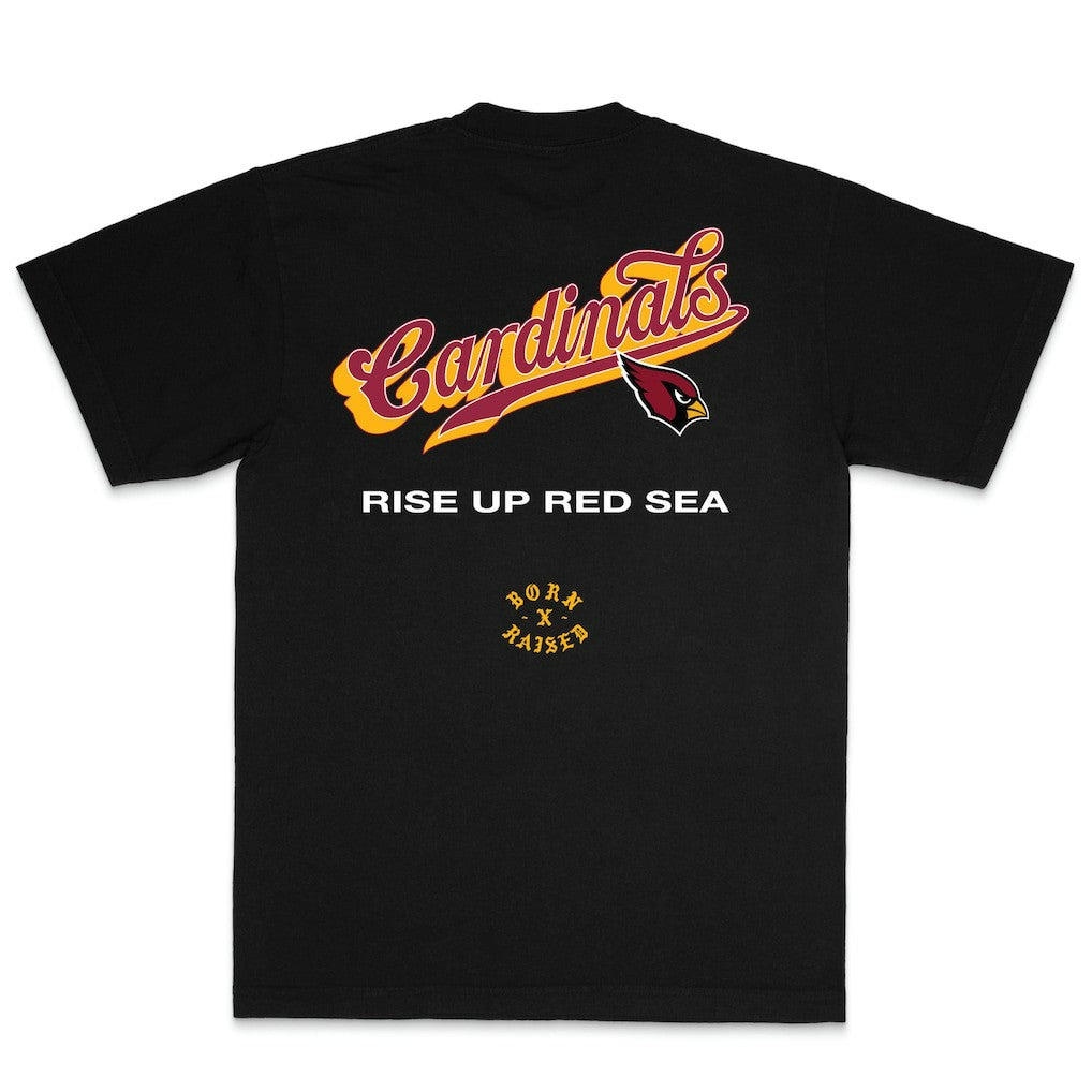 Arizona Cardinals Born x Raised Unisex Pro Script T-Shirt | NFL On sale