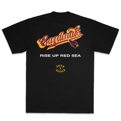 Arizona Cardinals Born x Raised Unisex Pro Script T-Shirt | NFL On sale