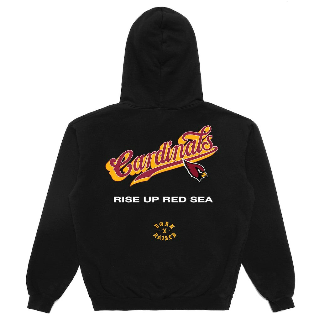 Arizona Cardinals Born x Raised Unisex Pro Script Hoodie | NFL Sale